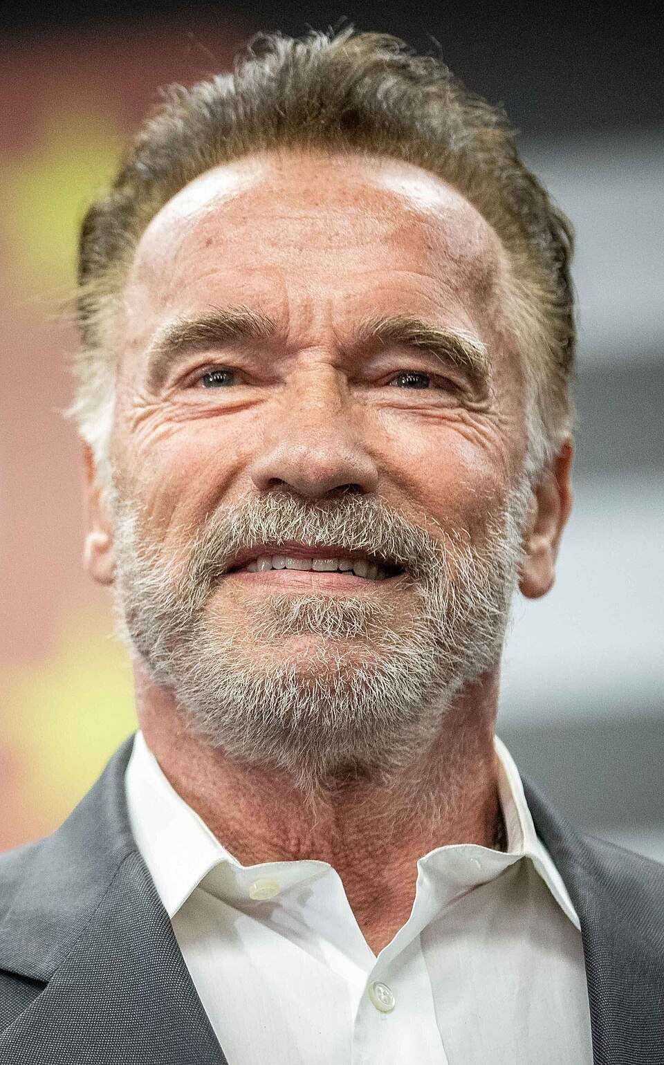Understanding Arnold Schwarzenegger at 76: Films, Politics, and Family